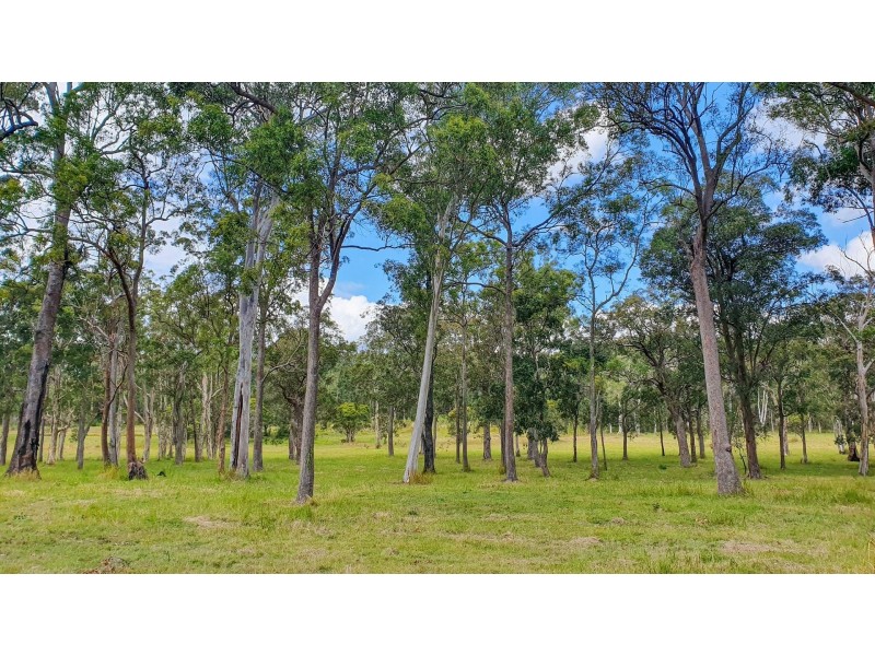 James Creek NSW 2463