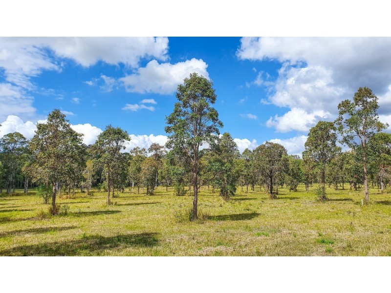 James Creek NSW 2463