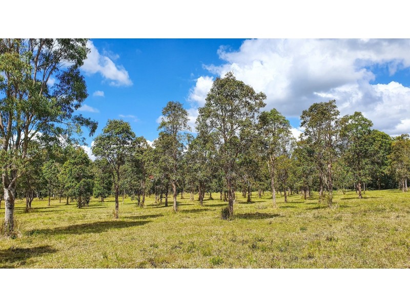 James Creek NSW 2463