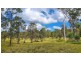 Yamba NSW 2464