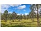 Yamba NSW 2464
