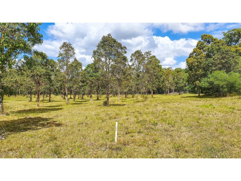 Yamba NSW 2464