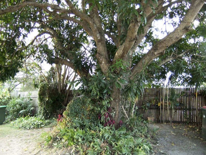 9 Oban Street, Maclean NSW 2463