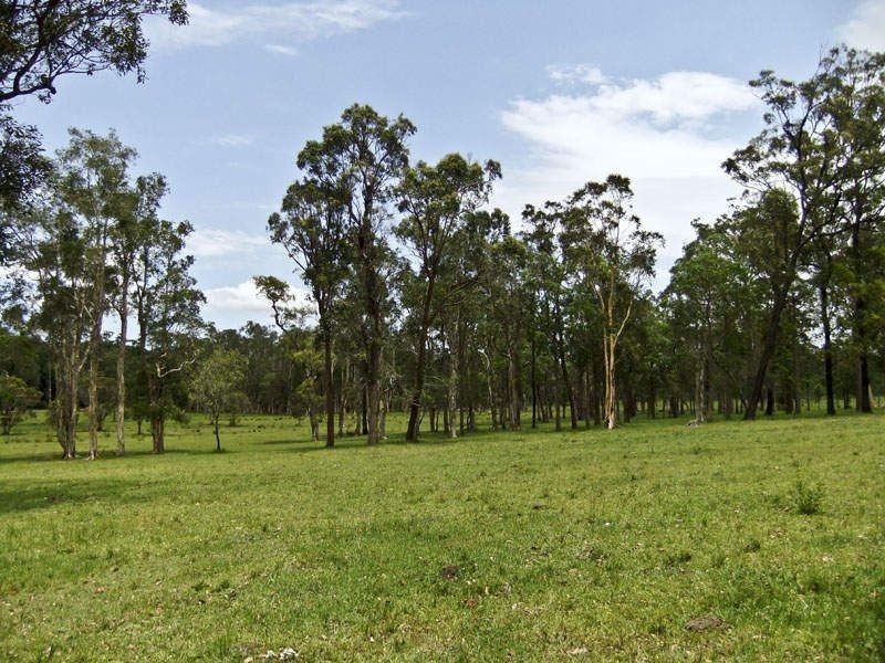 208 GARDINERS ROAD, James Creek NSW 2463