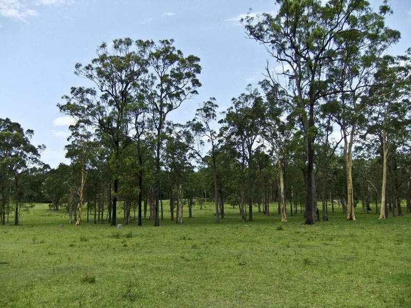 208 GARDINERS ROAD, James Creek NSW 2463