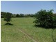 James Creek NSW 2463