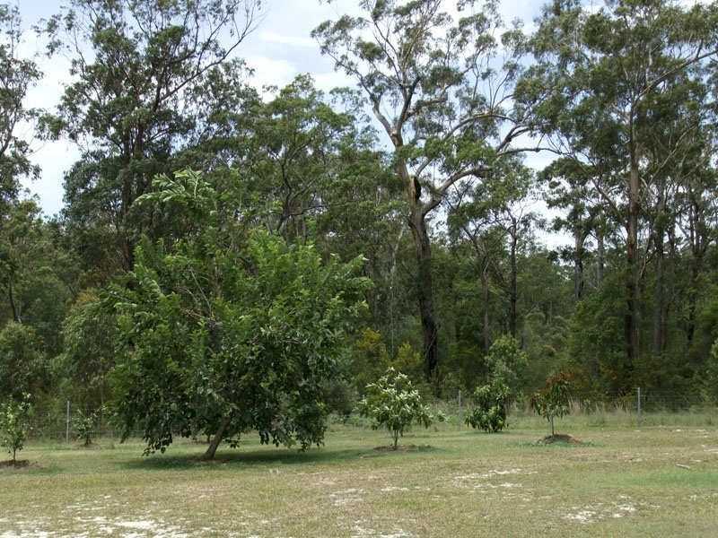25 Whipbird Drive, Ashby NSW 2463