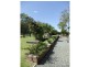 6 Boundary Road, Gulmarrad NSW 2463