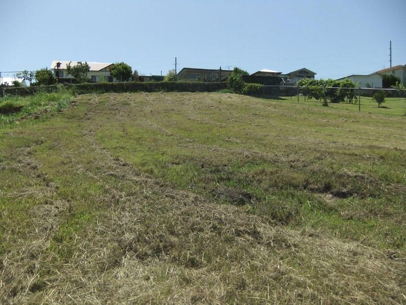 16 Myra Place, Maclean NSW 2463