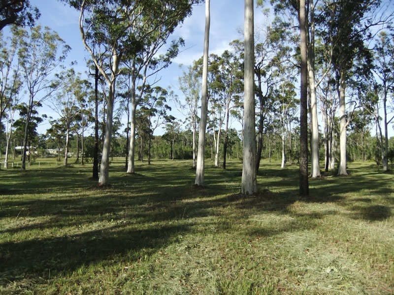 40 Anzac Place, Gulmarrad NSW 2463