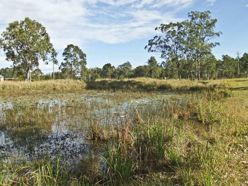 Lot 11 Pandana Close, Lawrence NSW 2460