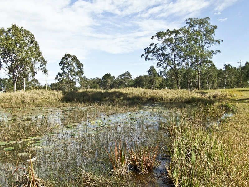 Lot 11 Pandana Close, Lawrence NSW 2460