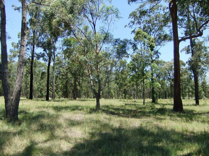 29 King Parrot Parade, Gulmarrad NSW 2463