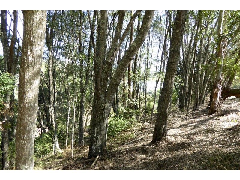 Lot 9 Old Ferry Road, Ashby NSW 2463