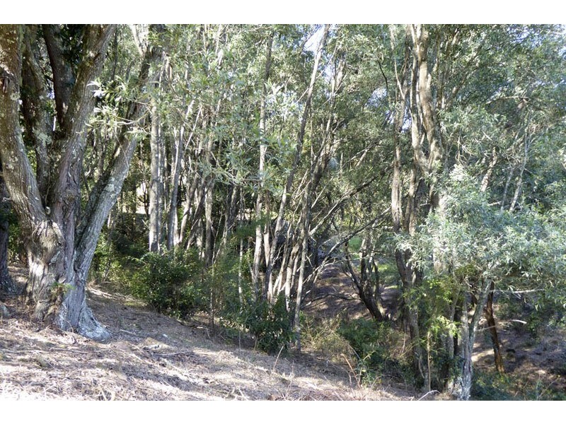 Lot 9 Old Ferry Road, Ashby NSW 2463