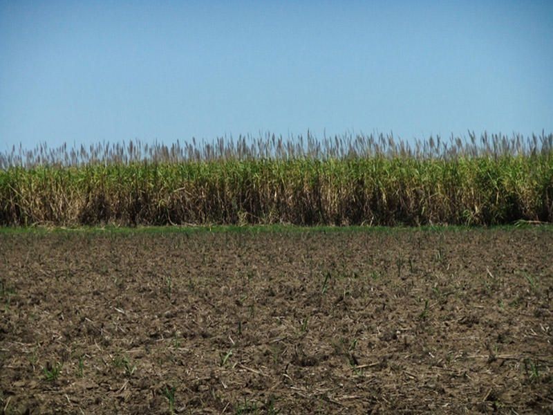 147 School Road, Palmers Island NSW 2463