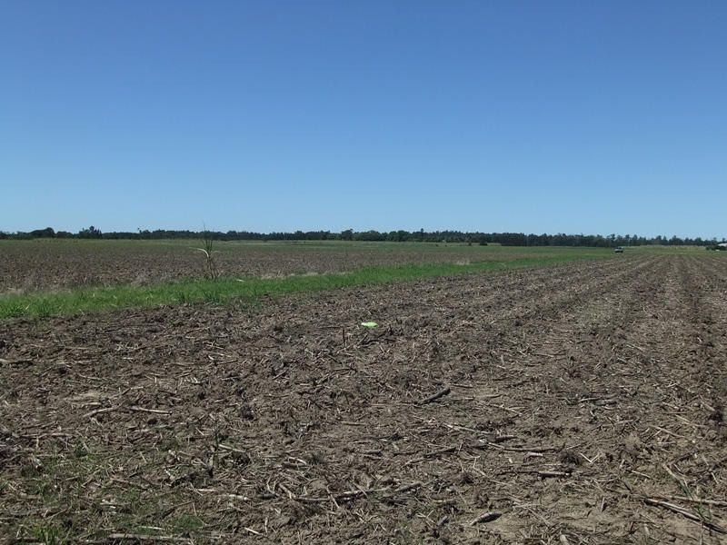 147 School Road, Palmers Island NSW 2463