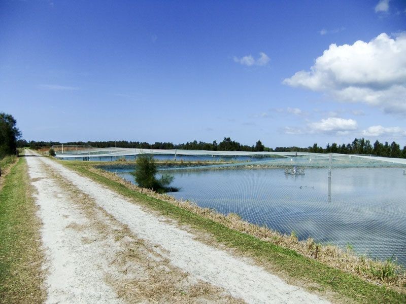 253 School Road, Palmers Island NSW 2463