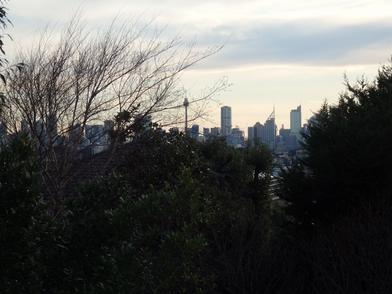 3 Cecil Road, Rose Bay NSW 2029