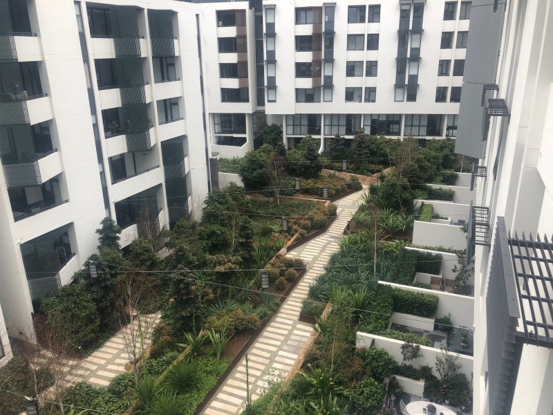 2501/7 Scotsman Street, Forest Lodge NSW 2037