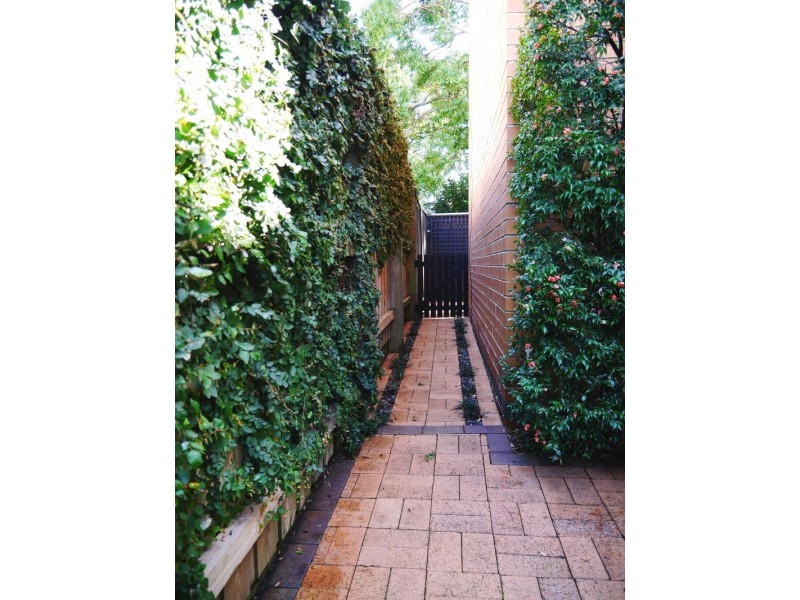 16 Lawson Lane, Naremburn NSW 2065