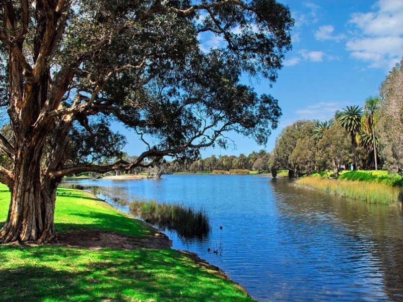 15/77-83 Cook Road, Centennial Park NSW 2021