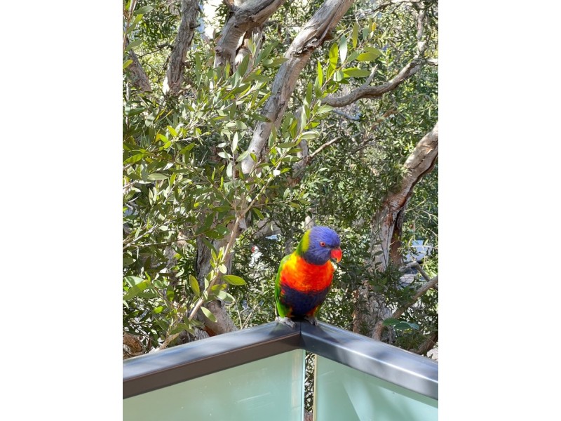 12/4 Gillies Street, Wollstonecraft NSW 2065