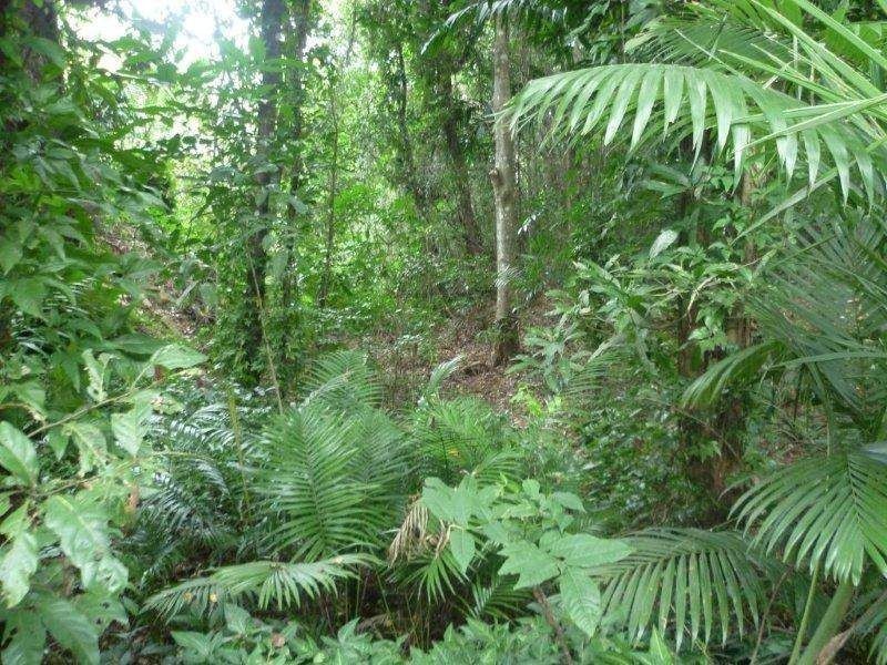 1/27 Daphne Drive, Redlynch QLD 4870