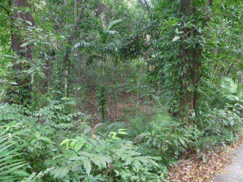 1/27 Daphne Drive, Redlynch QLD 4870
