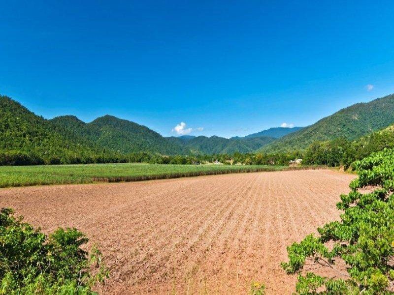 1/27 Daphne Drive, Redlynch QLD 4870