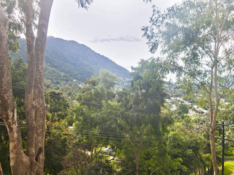 41 Granadilla Drive, Earlville QLD 4870