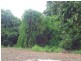Lot 1 Shamrock Avenue, Brinsmead QLD 4870