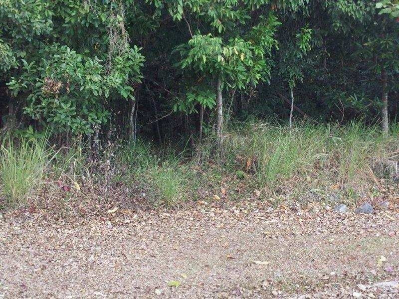 Lot 1 Shamrock Avenue, Brinsmead QLD 4870
