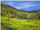 Lot 43 Mount William Close, Redlynch QLD 4870