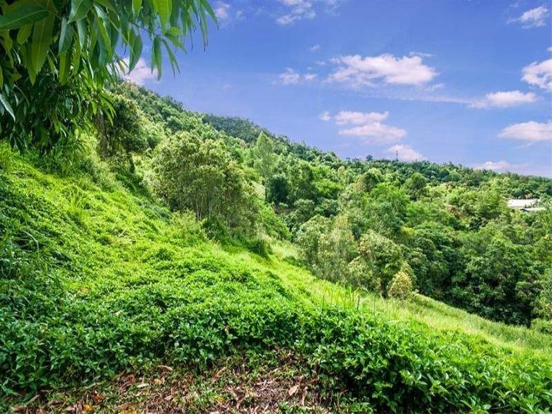 Lot 43 Mount William Close, Redlynch QLD 4870