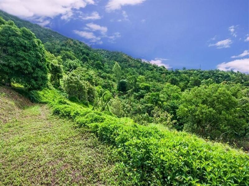 Lot 43 Mount William Close, Redlynch QLD 4870