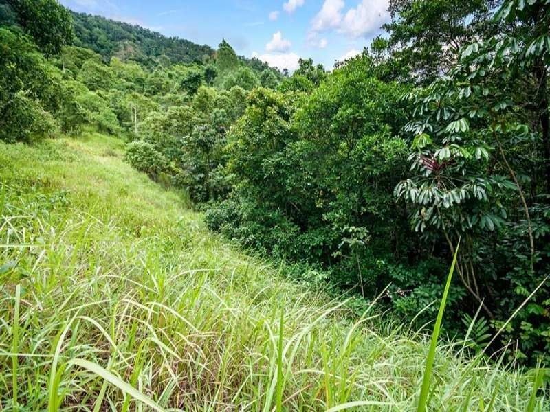 Lot 43 Mount William Close, Redlynch QLD 4870