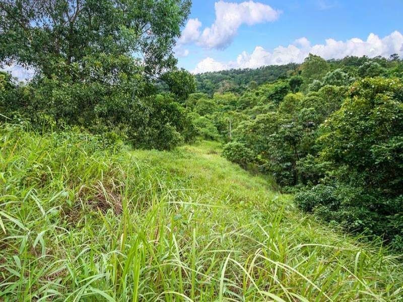 Lot 43 Mount William Close, Redlynch QLD 4870