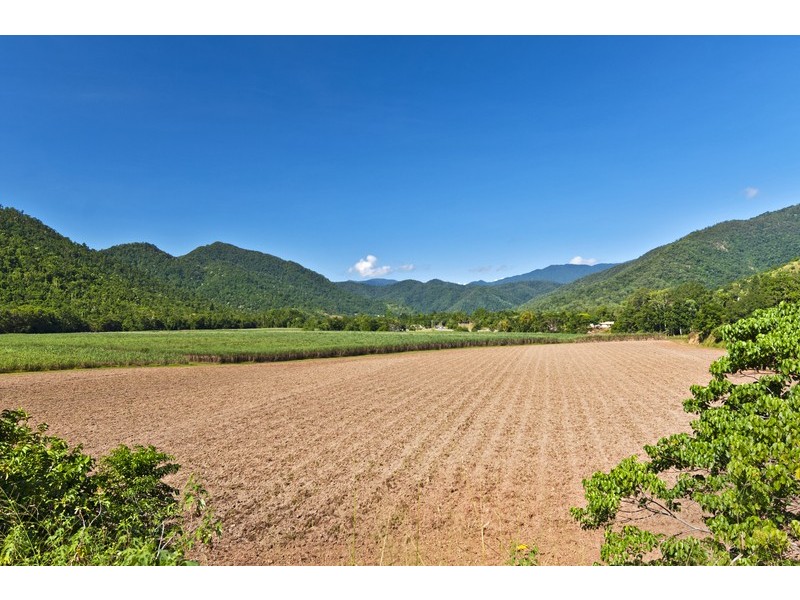 14 Kippin Close, Redlynch QLD 4870
