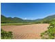 14 Kippin Close, Redlynch QLD 4870