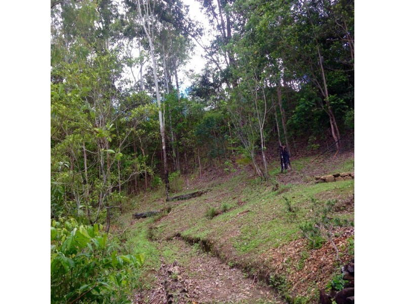 29 William Hickey Street, Redlynch QLD 4870