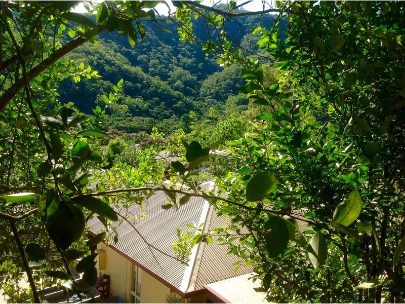 29 William Hickey Street, Redlynch QLD 4870