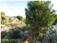2  Kate Link, Piara Waters WA 6112