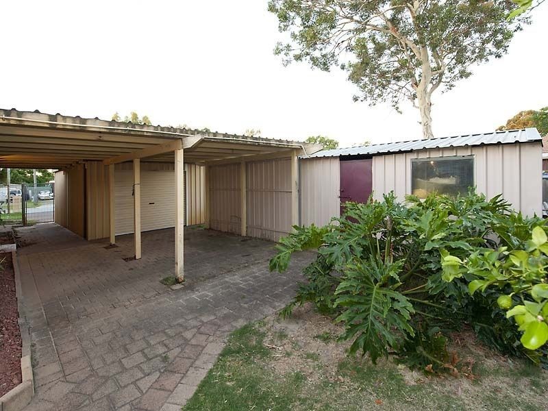 11 Winnunga Place, Armadale WA 6112