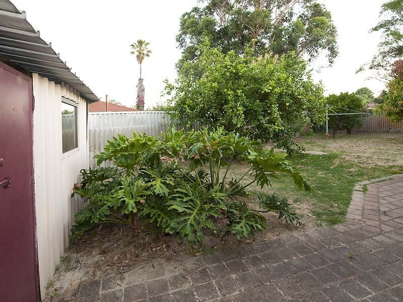 11 Winnunga Place, Armadale WA 6112
