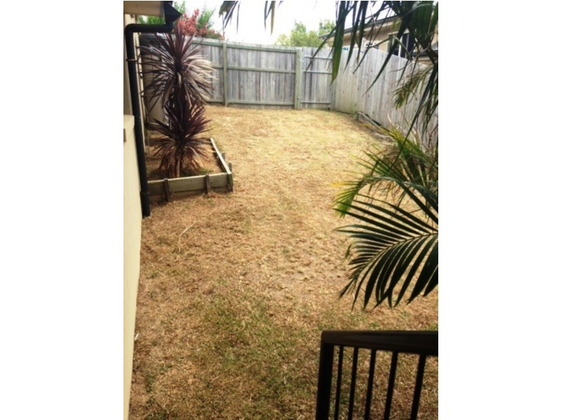 10 Valda Avenue, Coomera QLD 4209