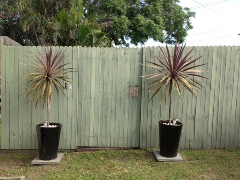 1/45 Gordon Parade, Manly QLD 4179