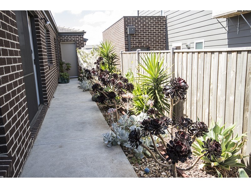 7 Rincon Crescent, Torquay VIC 3228