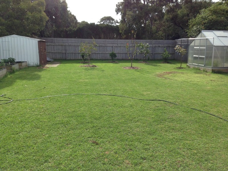 46 Sarabande Crescent, Torquay VIC 3228