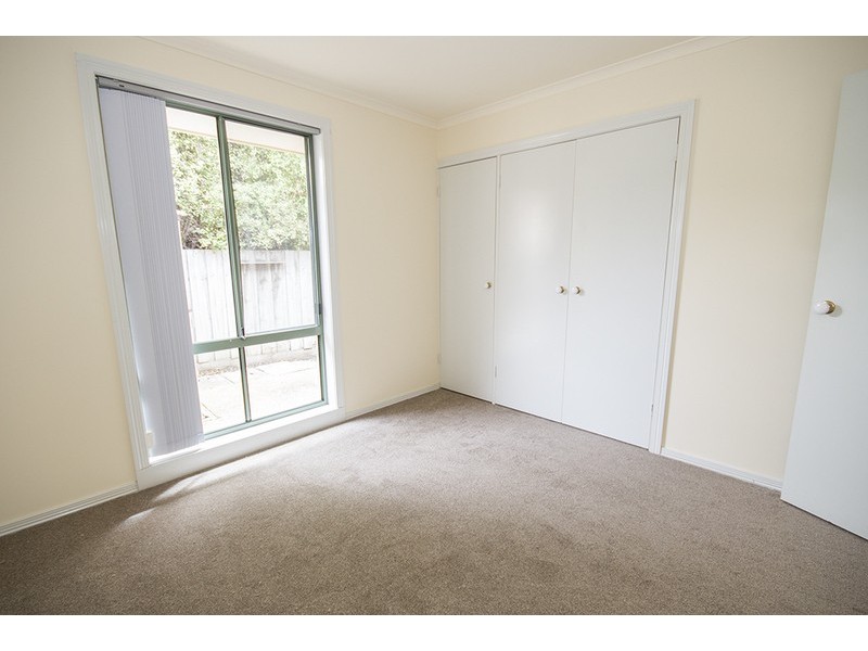 43A Glaneuse Avenue, Torquay VIC 3228